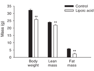 Alpha-Lipoic Acid heeft positief en negatief effect op lichaamssamenstelling