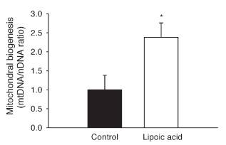 Alpha-Lipoic Acid heeft positief en negatief effect op lichaamssamenstelling