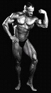 Tom Debaillie