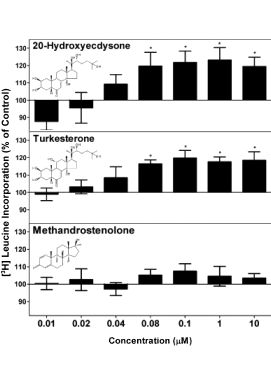 Studie: ecdysterone en turkesterone werken anabool