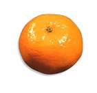 Stofje in mandarijnen verbetert geheugen