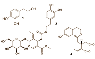 Olive Leaf Extract - een uitstekende bron van olueropein - verhoogt concentratie actief schildklierhormoon