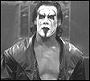 Sting/Steve Borden