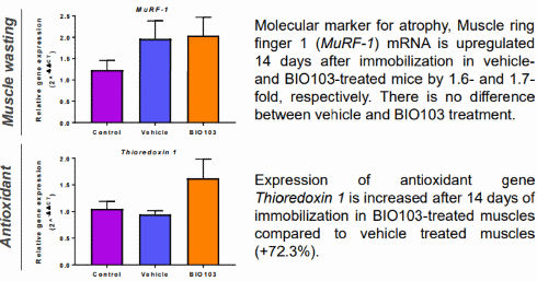 Bio103 heeft meer anabole werking dan ecdysteron