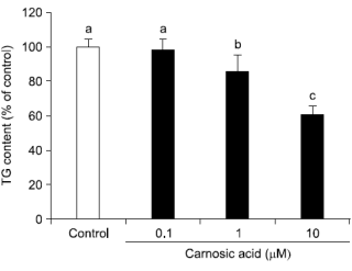 Carnosic acid, een potentieel afslankmedicijn uit rozemarijn