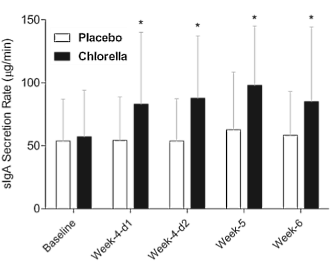 Tijdens zware fysieke inspanning versterkt Chlorella het immuunsysteem