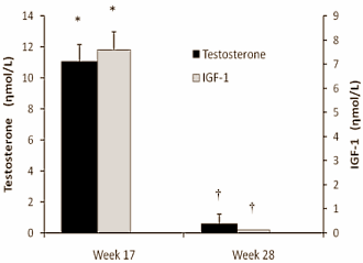 Dit blijft er hangen van een anti-ageing-kuur met testosteron en groeihormoon