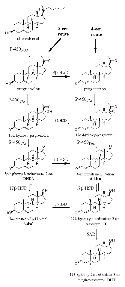 Schema 1