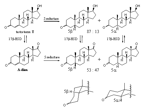 Schema 3