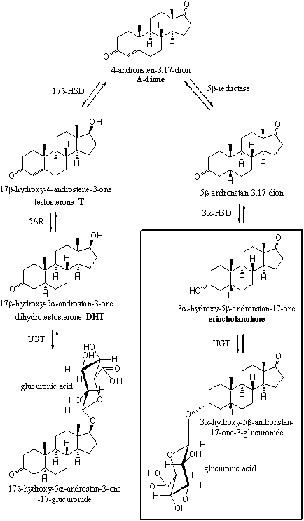 Scheme 4