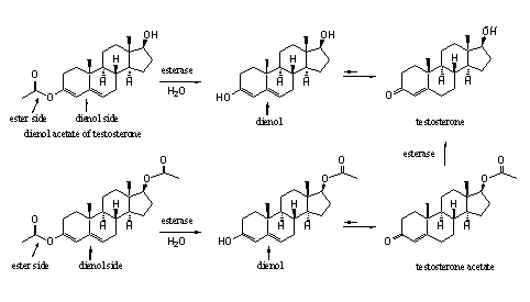 Scheme 3