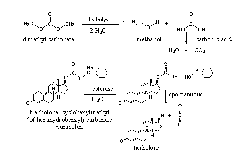 Scheme 4