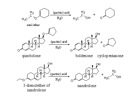 Nandrolone derivatives