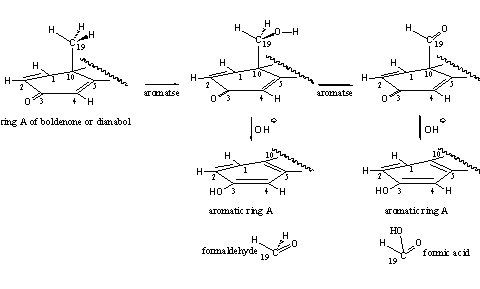 Scheme 3