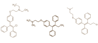 Dopingexperts weten het al lang en breed, maar het is altijd leuk als een studie zoiets nog eens bevestigt. Antioestrogenen als clomiphene [de actieve stof in Clomid], tamoxifen [Nolvadex] en toremifene [Fareston] verhogen de testosteronspiegel alleen in mannen, en niet in vrouwen. Dat schrijven dopingjagers van de Federazione Medico Sportiva Italiana in Steroids.