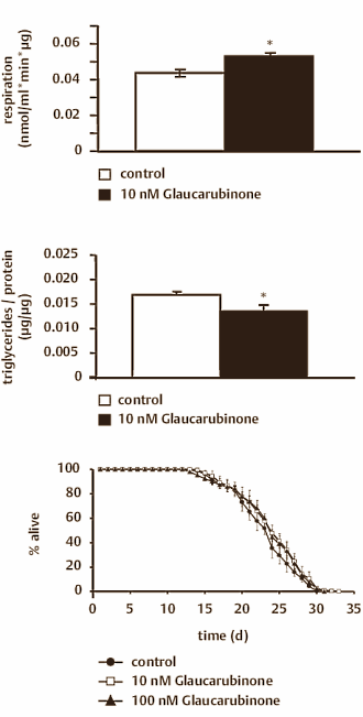 Glaucarubinone verlengt levensduur en verhoogt metabolisme