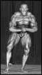 David Fisch