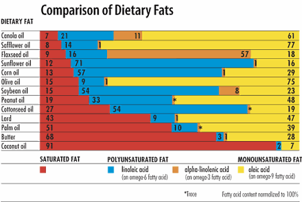 Dierstudie: koolhydraatarm dieet met veel verzadigde vetzuren verkort levensduur