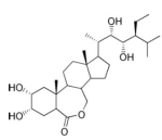 28-Homobrassinolide