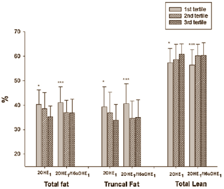 Slank en gespierd door 2-hydroxyestradiol