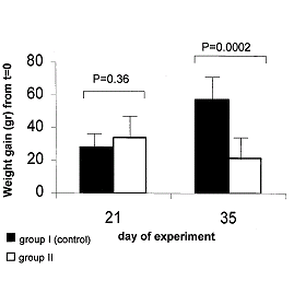 Knoflookcomponent allicin voorkomt groei vetweefsel bij overmaat aan calorieën