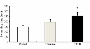 Vitamine B1-precursor allithiamine vergroot uithoudingsvermogen