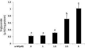 Alpha-naphthoflavone in testosteronverhogende supplementen is geniepige dikmaker