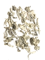 Thee van Ampelopsis grossedentata