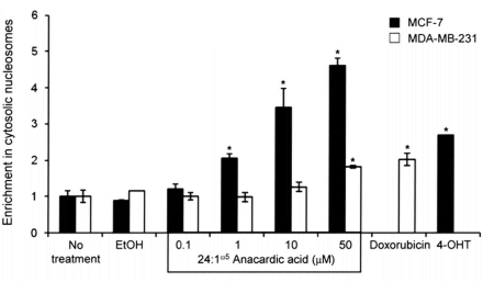 In een handje cashewnoten zit ongeveer 20 milligram anacardic acid. Die stof heeft een antioestrogene werking, ontdekten moleculaire biologen van University of Louisville. In hun reageerbuizen doodde anacardic acid bovendien hormoongevoelige borstkankercellen.