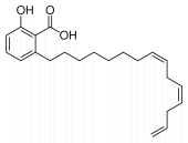 In een handje cashewnoten zit ongeveer 20 milligram anacardic acid. Die stof heeft een antioestrogene werking, ontdekten moleculaire biologen van University of Louisville. In hun reageerbuizen doodde anacardic acid bovendien hormoongevoelige borstkankercellen.