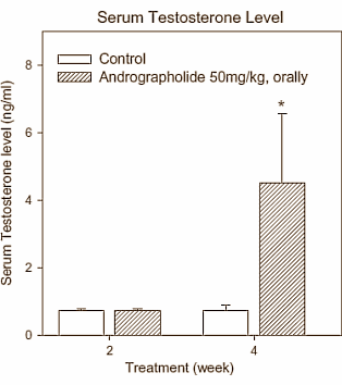 Het gecombineerde testosteron- en sildenafil-effect van Andrographis paniculata
