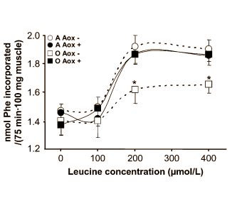 Op leeftijd? Leucine werkt nog steeds - met extra antioxidanten