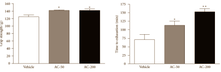 Antitumorpaddenstoel Antrodia camphorata heeft ergogene werking