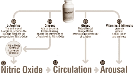 Sekssupplement met L-arginine en ginkgo werkt bij vrouwen