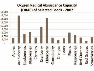 Aronia verhoogt thermogenese