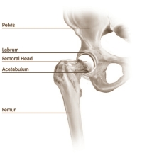 Hardlopers trekken een zware wissel op hun knie- en heupgewrichten, en hebben later vaker een kunstheup nodig. Zou je denken, toch? Toch is het niet zo. Volgens de grootste studie tot nu toe hebben hardlopers juist minder kans op osteoartritis dan inactieve mensen. Maar dat wil niet zeggen dat hardlopen ook goed voor jouw gewrichten is...