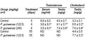 Piper guineense verhoogt testosteronspiegel