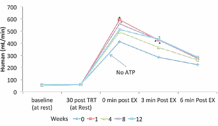 Supplementen met ATP kunnen het herstel na een krachttraining bespoedigen doordat ze, onmiddellijk na de training, de bloedtoevoer naar de spieren verhogen. Amerikaanse bewegingswetenschappers hebben het effect van ATP in zowel dierstudies als een humane studie aangetoond.