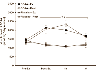 Zie je wel! BCAA's zijn antikatabool