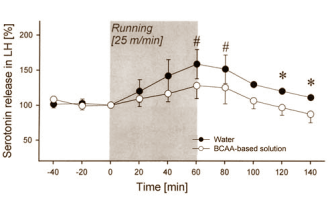 Het is een beetje ondergesneeuwd door al die recente studies waarin BCAA's de spierafbraak tijdens intensieve inspanning afremmen, maar oorspronkelijk brachten supplementenmakers BCAA's op de markt als een energiesupplement voor sporters. Terecht, aldus een dierstudie van aminozuurproducent Ajinomoto uit 2006. Ratten die extra BCAA's, glutamine plus arginine krijgen leggen volgens dat onderzoek vrijwillig meer meters af op een treadmill.