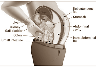Dieet met voldoende magnesium zorgt voor lager vetpercentage