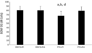 Beta-Alanine beschermt tegen posttraumatische stressstoornis