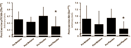 Sporters die elke dag 2.5 gram betaïne gebruiken en intensief trainen verhogen de anabole respons van hun lichaam op hun workout. Dat schrijven bewegingswetenschappers van de University of Connecticut in de European Journal of Applied Physiology.