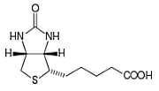 Biotine