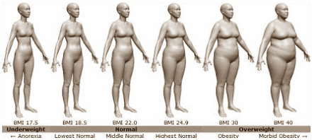 Na borstkanker blijven vrouwen aantrekkelijk en gezond door krachttraining