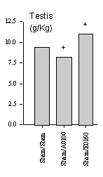 DEA doet dierproeven met dienolone en boldione