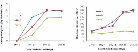 Borassus aethiopum voor bodybuilders?