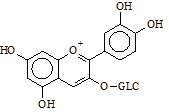 Drink elke dag 2-3 glazen bosbessensap, en 12 weken later werkt je geheugen merkbaar beter. Dat zeggen onderzoekers van de University of Cincinnati, die proeven deden met zestien gezonde zeventigers en tachtigers met een geheugen dat het soms liet afweten.