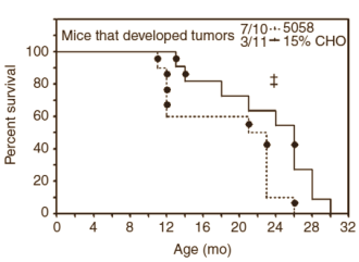 Eiwitdieet beschermt tegen kanker in dierstudie
