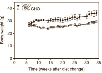 Eiwitdieet beschermt tegen kanker in dierstudie